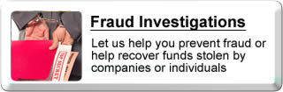 Fraud Investigation Information